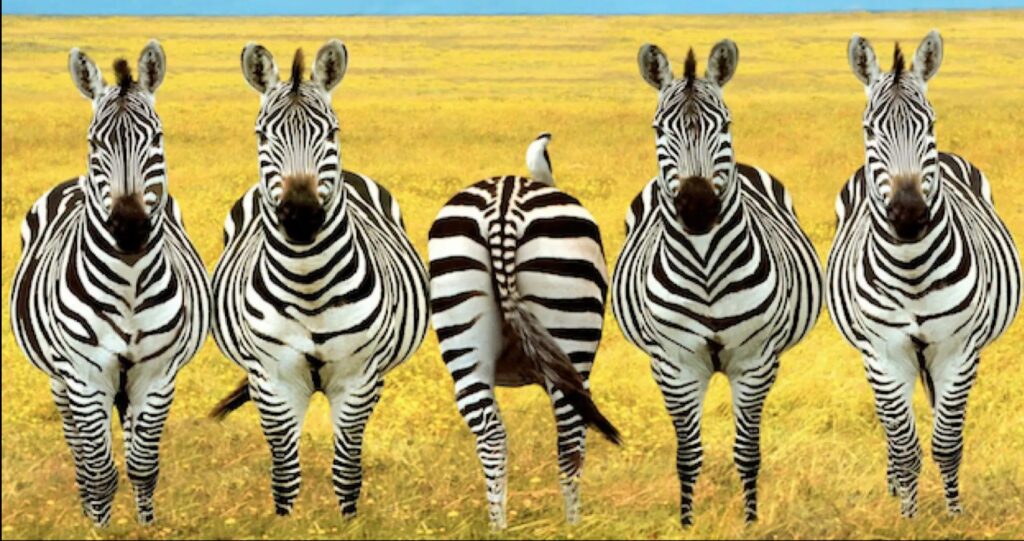 Schermafbeelding 2025-11-17 172210