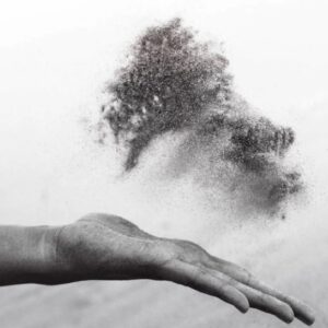 Module 4: Sensorimotor psychotherapie en Bokspsychotherapie